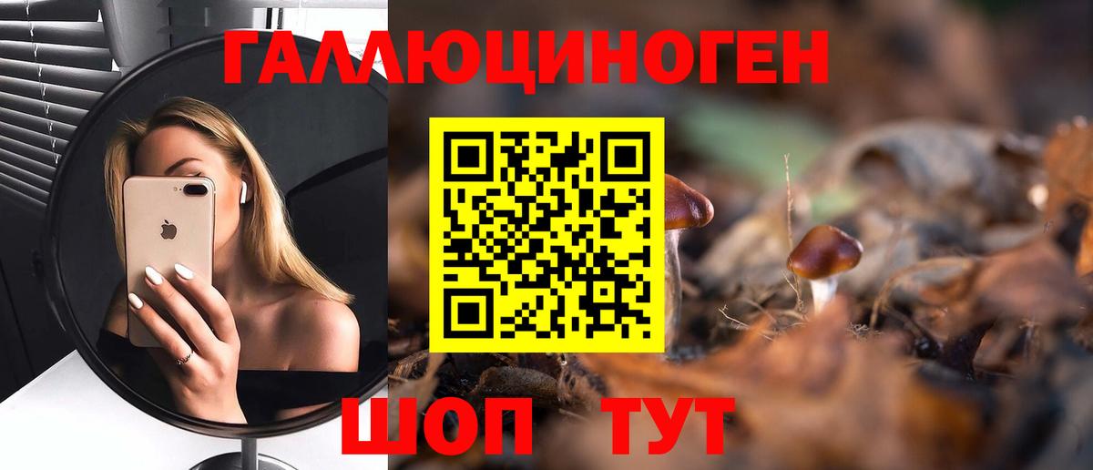 Псилоцибиновые грибы Magic Shrooms  Вход с VPN  Чита  Псилоцибиновые грибы GOLDEN TEACHER 